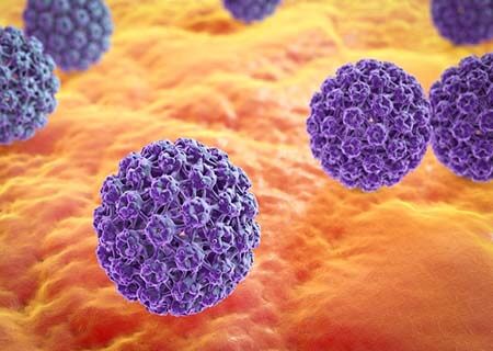 Virus gây bệnh sùi mào gà Virus gây bệnh sùi mào gà