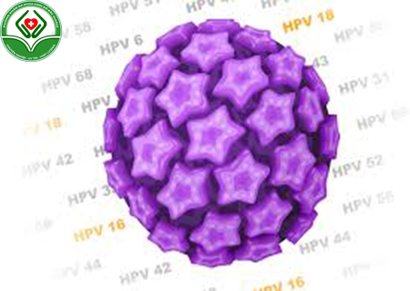 bị HPV là bị làm sao bị HPV là bị làm sao