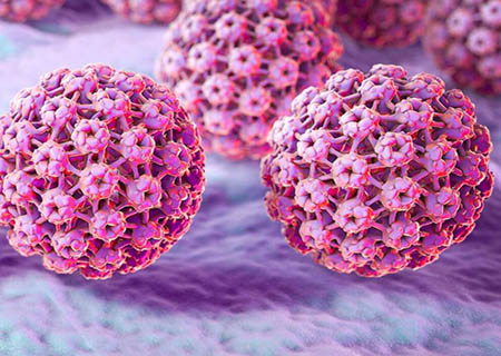 vi rút HPV gây bệnh sùi mào gà