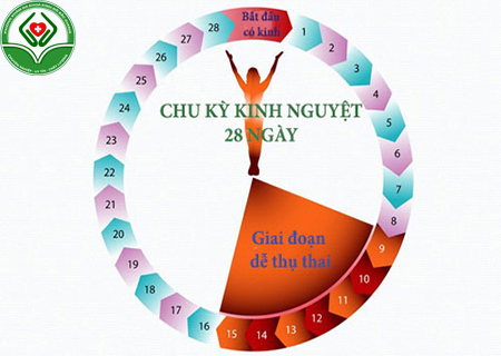 quan hệ ngày rụng trứng quan hệ ngày rụng trứng