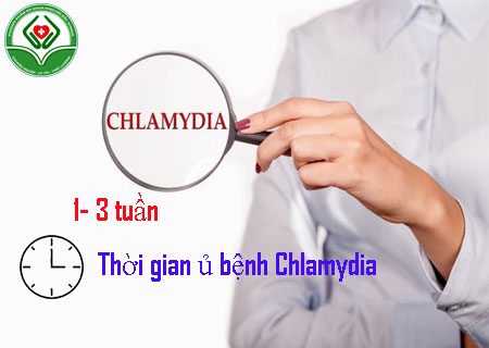 Thời gian ủ bệnh chlamydia